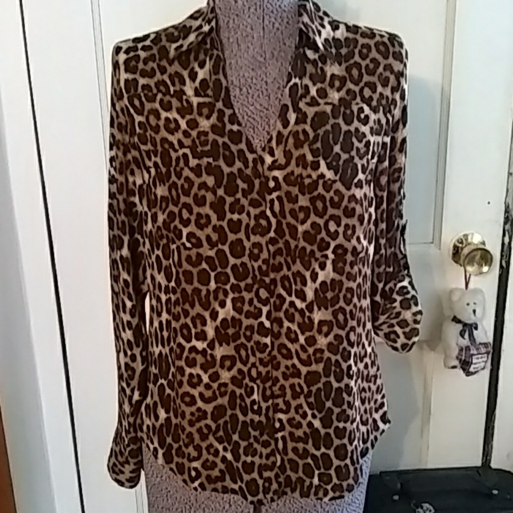 Express button up dress shirt